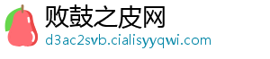 败鼓之皮网